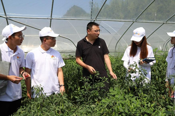 实践团参观蔬菜大棚。西甲联赛官方网站供图